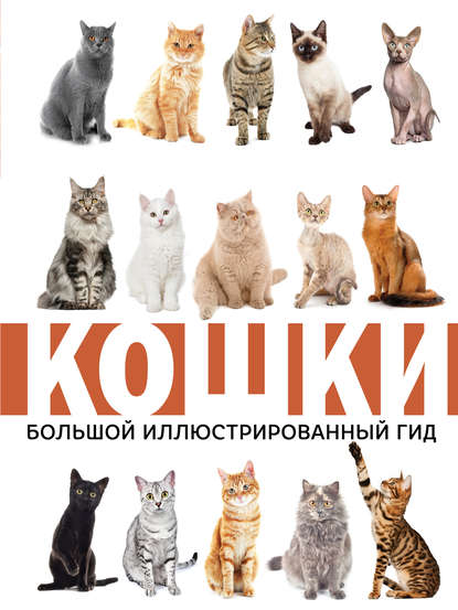 Николай Николаевич Непомнящий - Кошки