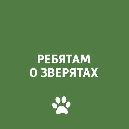 

Ветеринар-герпетолог в студии