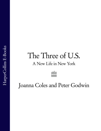 The Three of U.S.: A New Life in New York (Peter  Godwin).  - Скачать | Читать книгу онлайн
