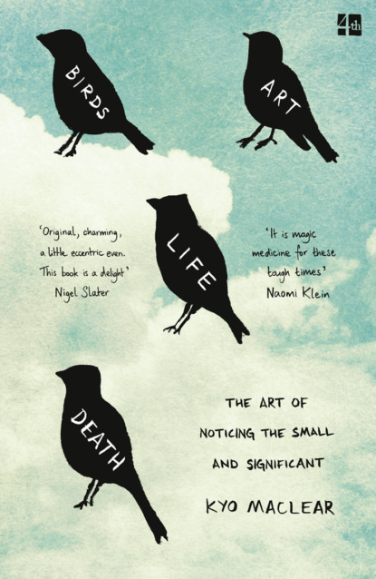 Birds Art Life Death: The Art of Noticing the Small and Significant - Кио Маклир