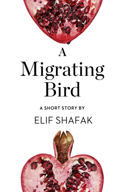 Элиф Шафак — A Migrating Bird: A Short Story from the collection, Reader, I Married Him