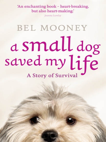 Bel  Mooney - A Small Dog Saved My Life