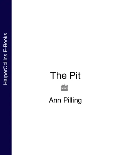 Обложка книги The Pit, Ann Pilling