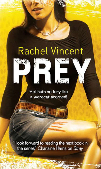Rachel  Vincent - Prey