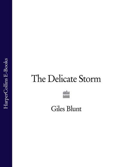 Giles  Blunt - The Delicate Storm