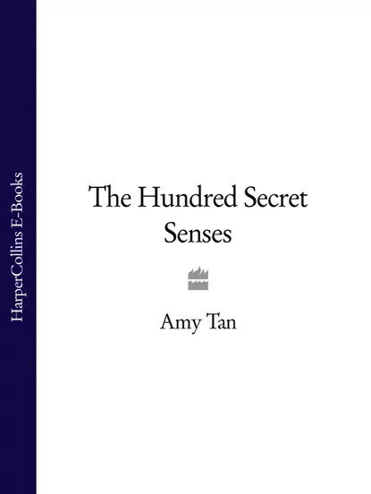 Обложка книги The Hundred Secret Senses, Amy  Tan