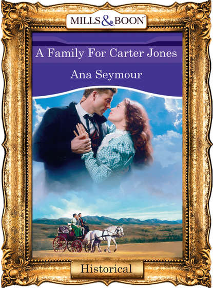 Ana  Seymour - A Family For Carter Jones