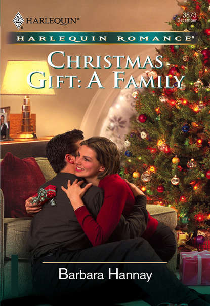 Barbara Hannay — Christmas Gift: A Family