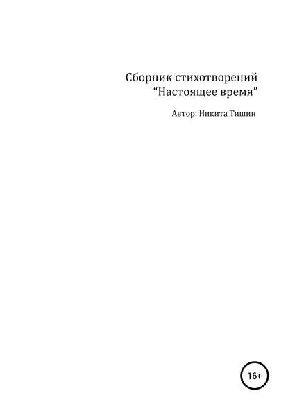 Никита Сергеевич Тишин — Настоящее время