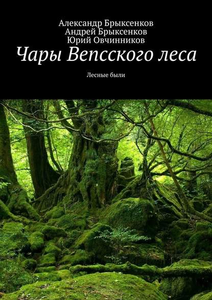 Александр Брыксенков - Чары Вепсского леса. Лесные были