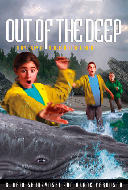 Gloria  Skurzynski - Mysteries in Our National Parks: Out of the Deep: A Mystery in Acadia National Park