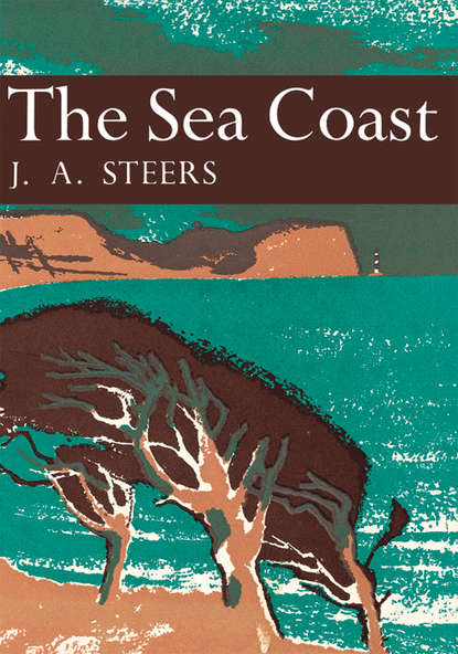 The Sea Coast (J. Steers A.). 