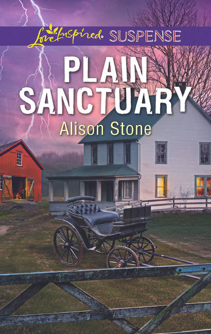 Plain Sanctuary (Alison  Stone). 