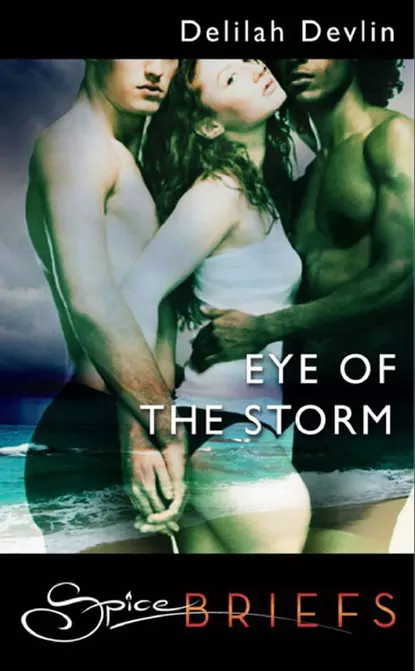 Обложка книги Eye Of The Storm, Delilah  Devlin