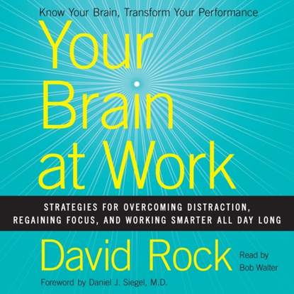David Rock - Your Brain at Work
