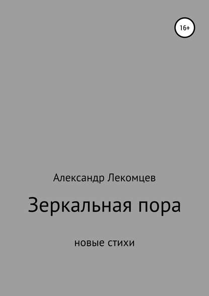 

Зеркальная пора