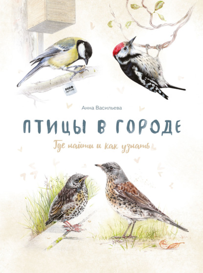 Анна Васильева — Птицы в городе
