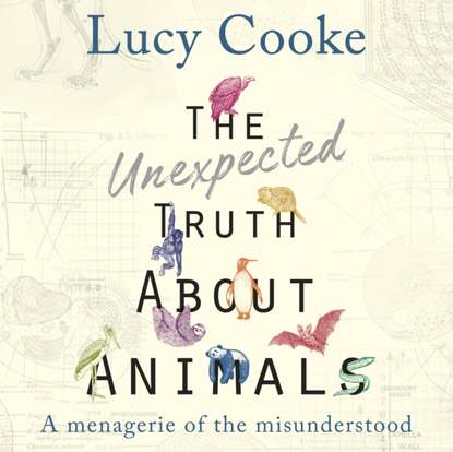 Lucy Cooke - Unexpected Truth About Animals