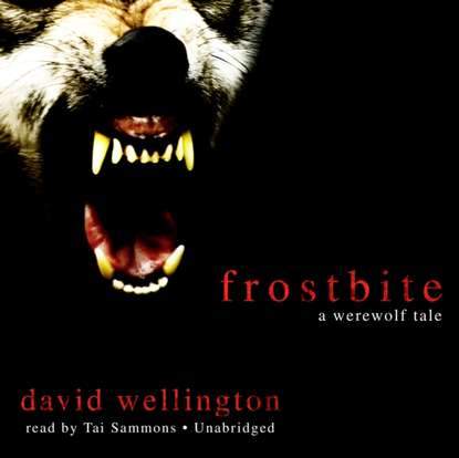 David Wellington — Frostbite