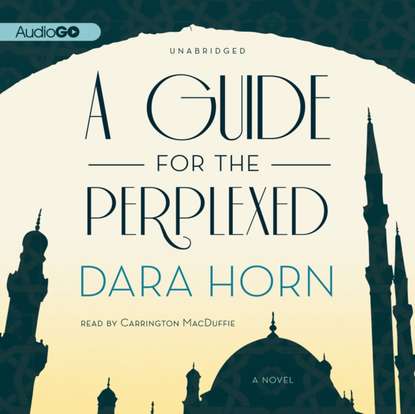 

Guide for the Perplexed