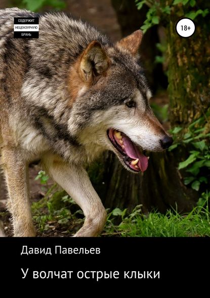 Давид Павельев — У волчат острые клыки