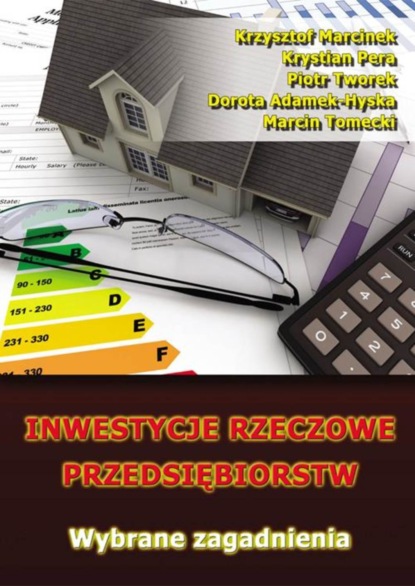 Krzysztof Marcinek - Inwestycje rzeczowe przedsiębiorstw. Wybrane zagadnienia