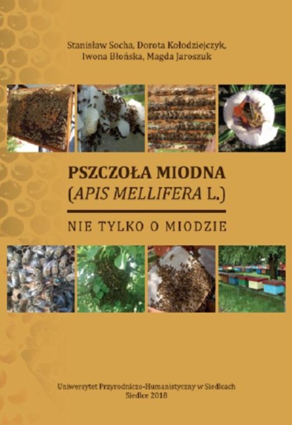 

Pszczoła miodna (Apid mellifera L.). Nie tylko o miodzie