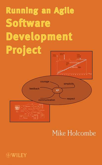 Группа авторов - Running an Agile Software Development Project