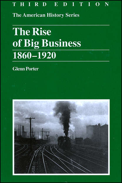 The Rise of Big Business (Группа авторов). 