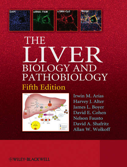 The Liver (Nelson  Fausto). 