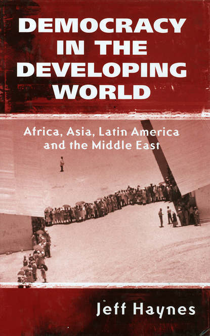 Группа авторов - Democracy in the Developing World