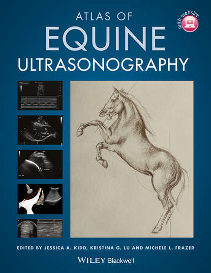 Kristina Lu G. - Atlas of Equine Ultrasonography