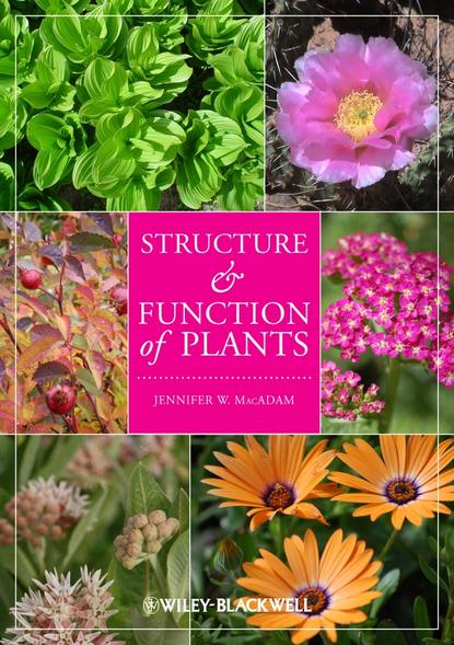 Structure and Function of Plants (Группа авторов). 