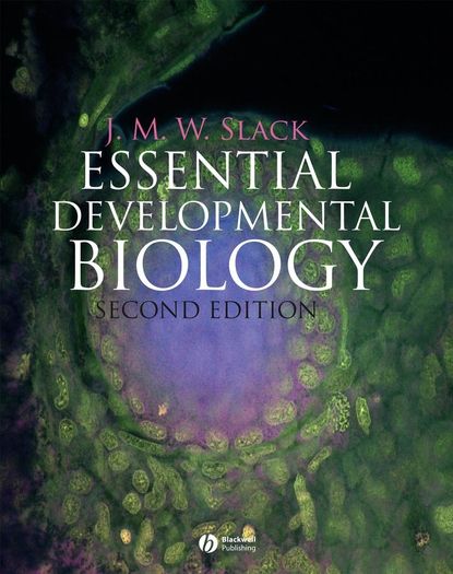 Essential Developmental Biology (Jonathan M. W. Slack). 