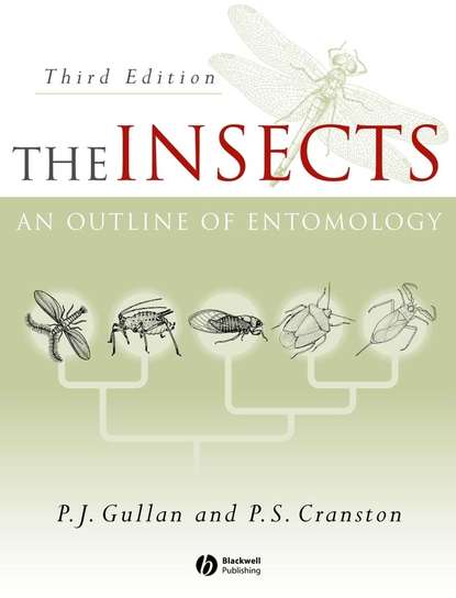 P. Gullan J. - The Insects