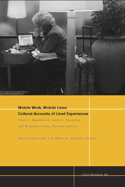 Satish  Kedia - Mobile Work, Mobile Lives