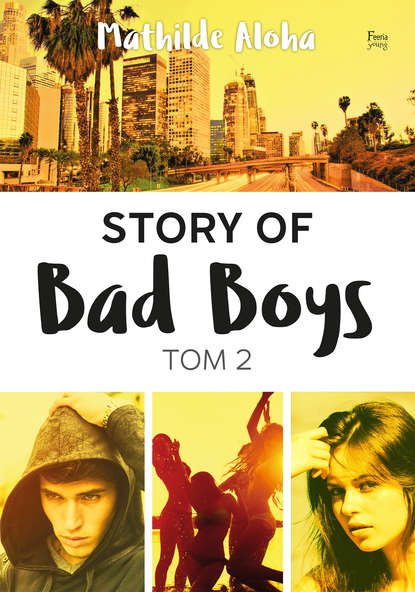 

Story of Bad Boys 2