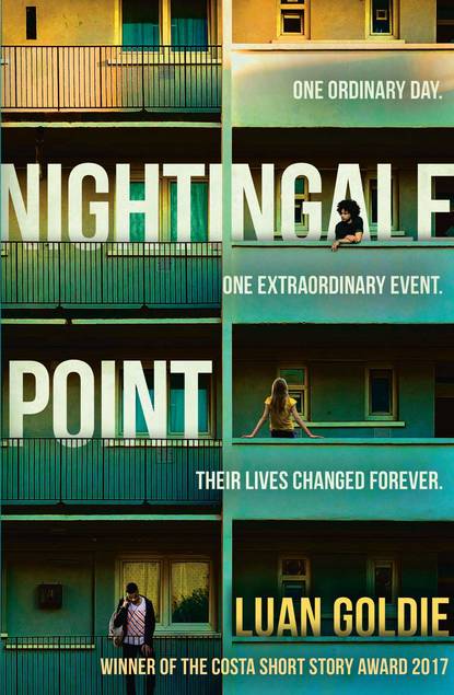 Nightingale Point - Luan Goldie