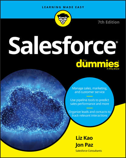 Jon Paz - Salesforce For Dummies