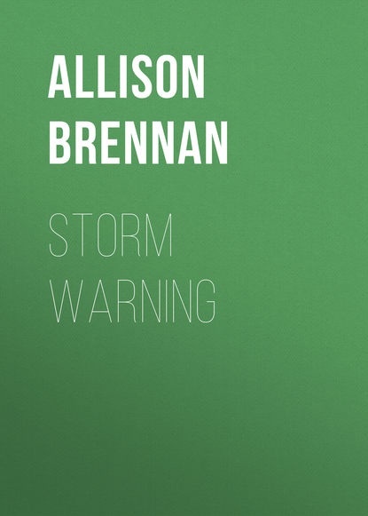 Allison Brennan — Storm Warning