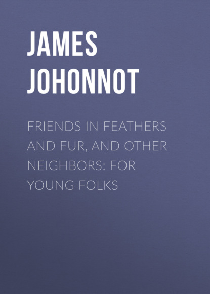 James Johonnot - Friends in Feathers and Fur, and Other Neighbors: For Young Folks