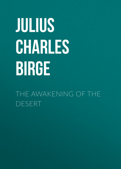 

The Awakening of the Desert