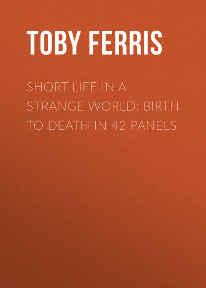 Toby Ferris - Short Life in a Strange World: Birth to Death in 42 Panels