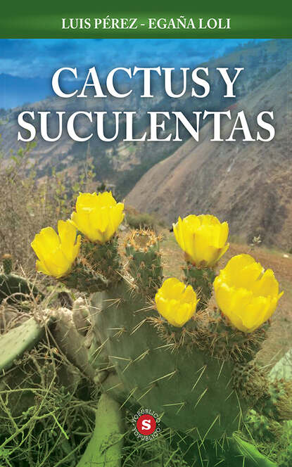 Luis Pérez-Egaña Loli - Cactus y Suculentas