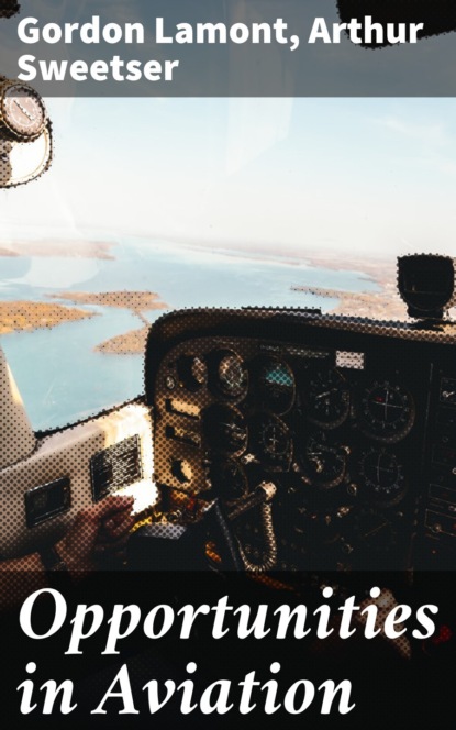 

Opportunities in Aviation