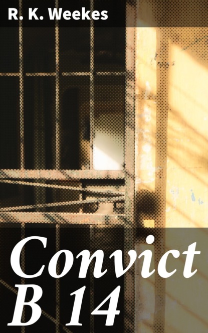

Convict B 14