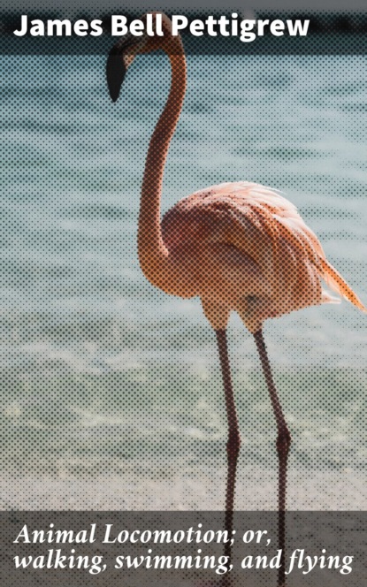 

Animal Locomotion; or, walking, swimming, and flying