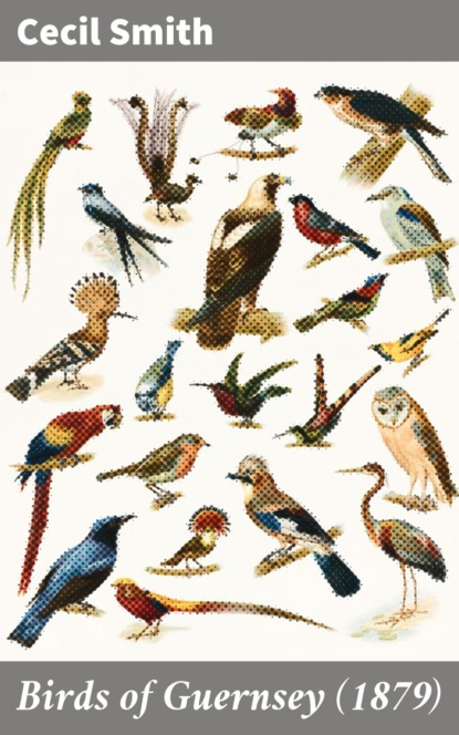 Cecil Smith L. - Birds of Guernsey (1879)