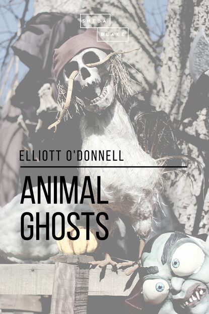 

Animal Ghosts