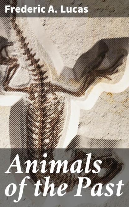 

Animals of the Past